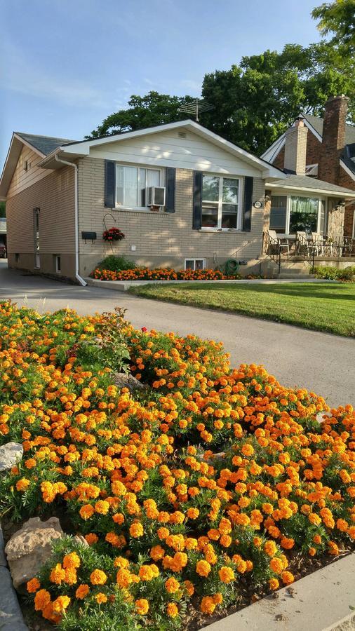 Trillium Bed & Breakfast Niagara Falls Eksteriør billede